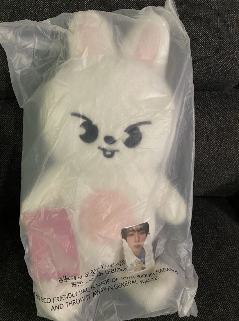 Stray Kids Official 5’CLOCK Leebit SKZOO Teddy Bear + Passport + Lee Know POB