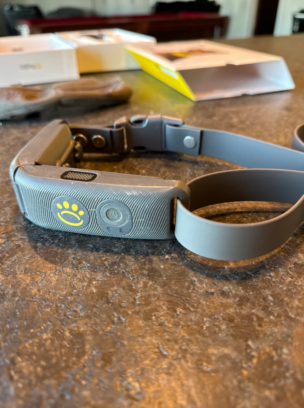 Hallo Collar 4 – Fully Cleared, Ready-to-Use Dog Training Collar – Excellent Condition