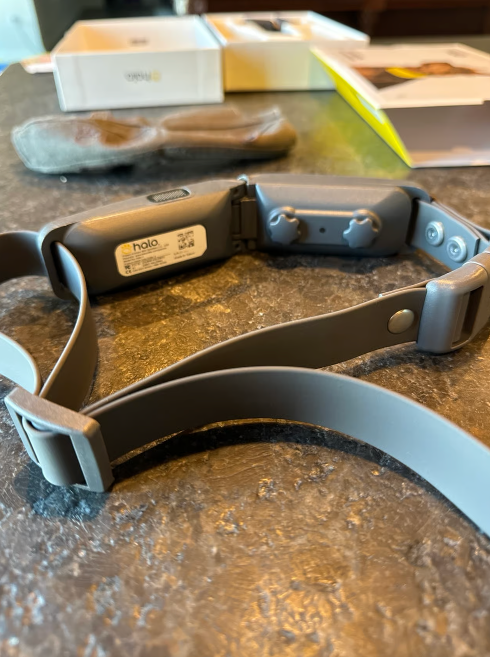 Hallo Collar 4 – Fully Cleared, Ready-to-Use Dog Training Collar – Excellent Condition