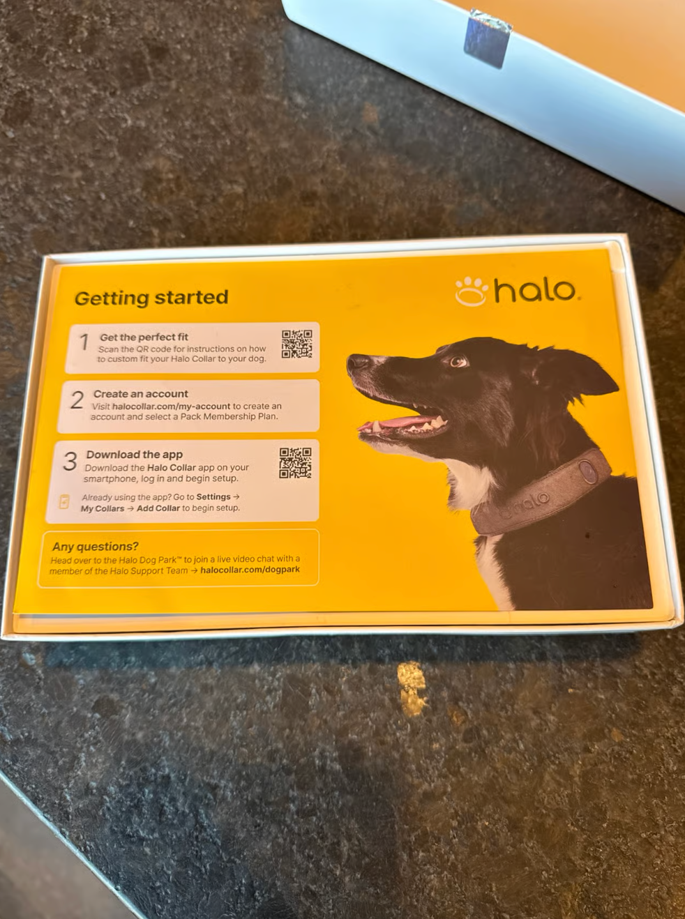 Hallo Collar 4 – Fully Cleared, Ready-to-Use Dog Training Collar – Excellent Condition